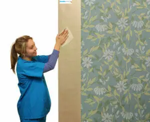 Hand Shield™ Curtain – Birds and the Bees (7 color options)